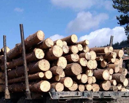 Спипаха двама дървосекачи в Пазарджишко с незаконен дървен материал