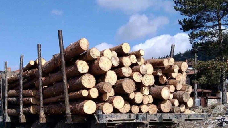 Спипаха двама дървосекачи в Пазарджишко с незаконен дървен материал