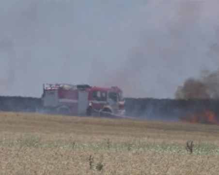 Голям пожар край Асеновград, шест екипа огнеборци се борят с пламъците