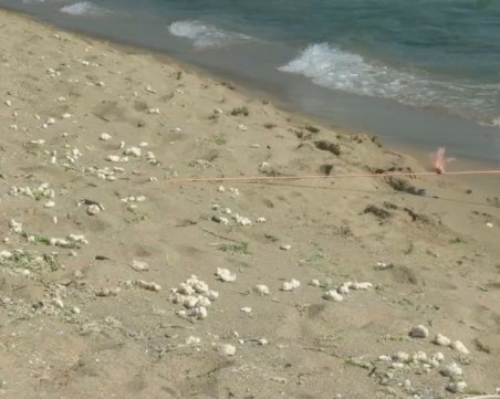 Плажът край Иракли замърсен с палмово масло, изхвърлено от кораб