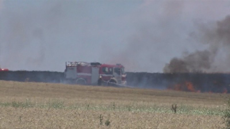 Голям пожар край Асеновград, шест екипа огнеборци се борят с пламъците