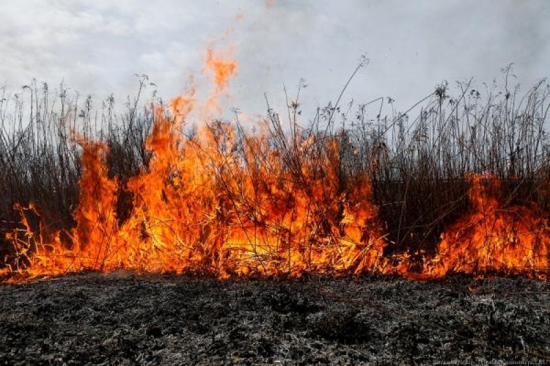 Възрастен мъж почина при пожар, тръгнал от сухи треви