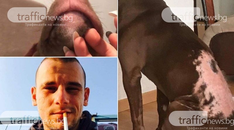 28-годишен пловдивчанин заля кучето си с киселина, тормозът продължава от години