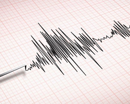 6,4 по Рихтер разлюля Филипините