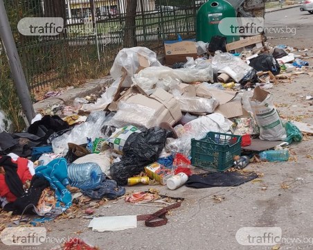 След Курбан Байрам - боклуци и животински остатъци на паркинга пред Малкия гигант