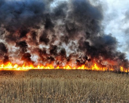 Пожар край магистрала