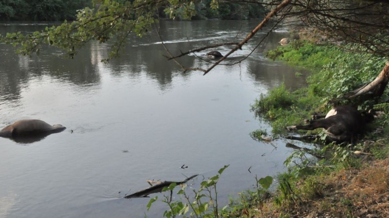 Остава забранена за пиене на водата в населените места в Хасковско
