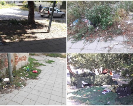 Катун и мини сметища посрещат клиентите на държавни институции в Столипиново