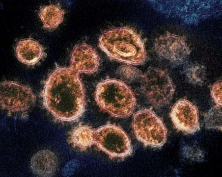 Учените откриха 