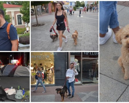 С куче на протест ГАЛЕРИЯ