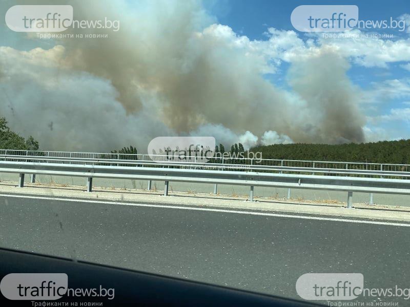 20 нови пожара в Хасковска област, ситуацията остава тежка