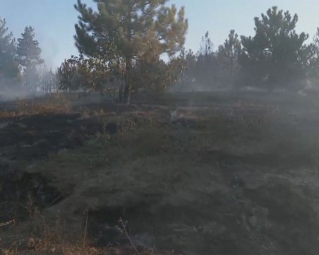 Пожарът край границата: Овладян от три страни, огънят е обхванал около 50 000 дкра