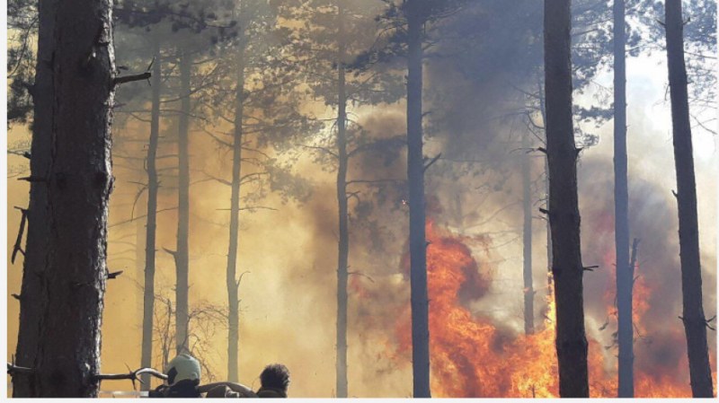 Нови пожари избухнаха в Хасковска област