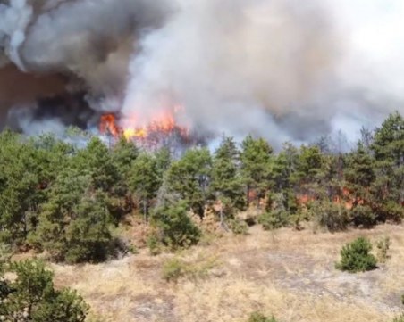 Потушиха пожарът до границата с Турция