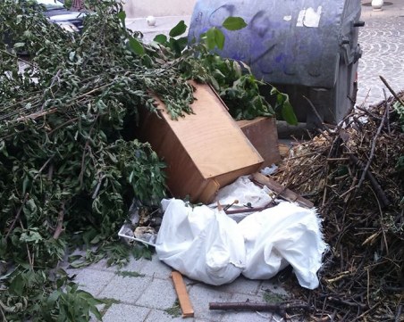 Бунище в центъра на Пловдив: кофите за смет - празни, около тях - пълно с отпадъци