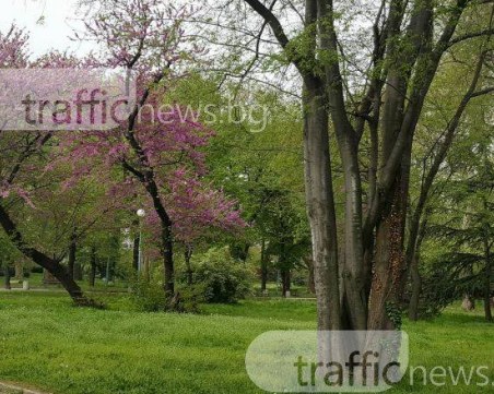 Стрелба в пловдивски парк след бой между две ромски групи