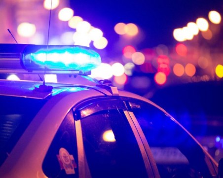 Задържаха 11 бежанци, криели се в храстите край АМ 