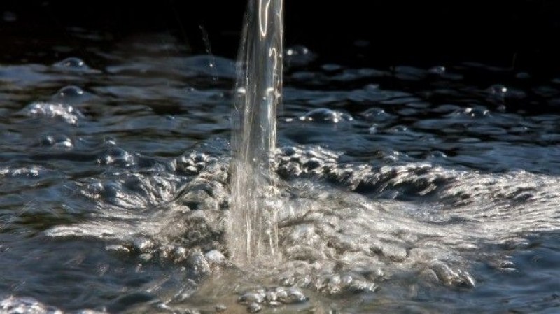 Водата - невидимият съюзник в поддържането на pH в телата ни