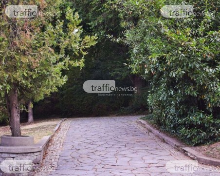 Мъж се обеси на Бунарджика