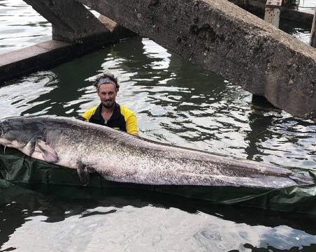 Млад рибар улови сом с чудовищни размери в река Сена