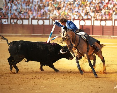 На този ден: Конната корида - традиция от времето на рицарите