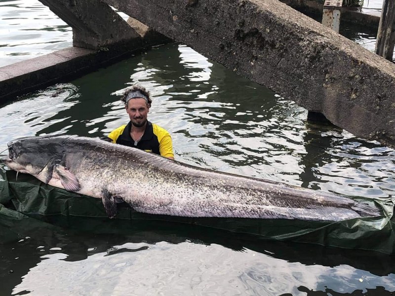 Млад рибар улови сом с чудовищни размери в река Сена