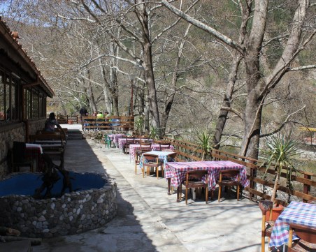 Акция на НАП! Култов ресторант в Бачково - под прицела на данъчните