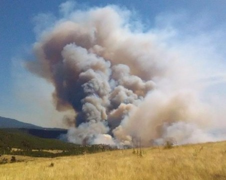 Овладяха големия пожар край Хасково