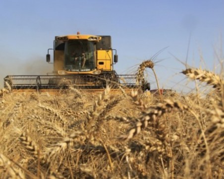 Тежка година за зърнопроизводителите! Реколтата не е било толкова лоша от 20 години