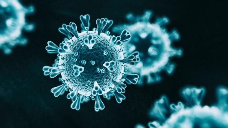Синтетична молекула ни предпазва от коронавируса