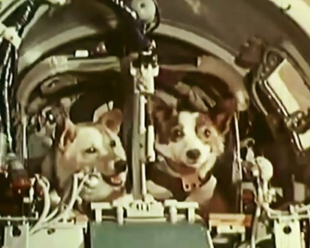 На този ден: Белка и Стрелка излитат в Космоса