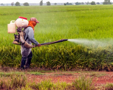 Над 100 тона загробени пестициди откриха в цялата страна