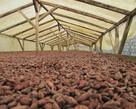 Сняг от какао заваля в швейцарски град