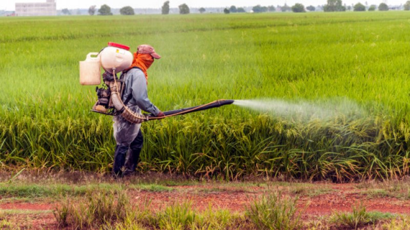 Над 100 тона загробени пестициди откриха в цялата страна