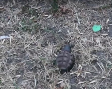 Откриха граната до блок в Хасково, отцепиха района