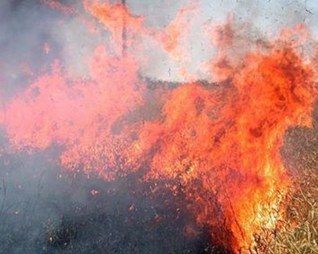 Три умишлени палежа в Пловдивско по време на жътвата