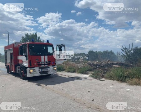Четири екипа на пожарната се борят с пламъците в Йоаким Груево