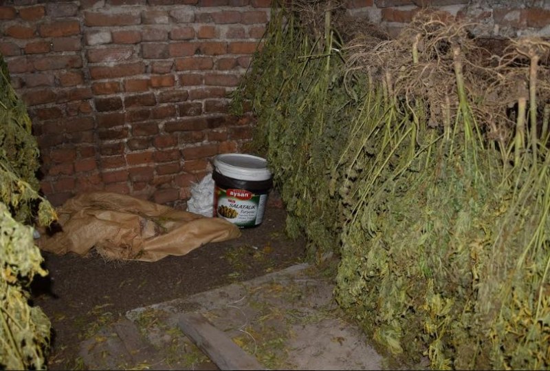 Обособена сушилня и 21 кг марихуана откриха при спец акция край Пазарджик