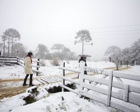 Аномалия и в Бразилия – сняг покри региони, в които не е валяло от 45 години