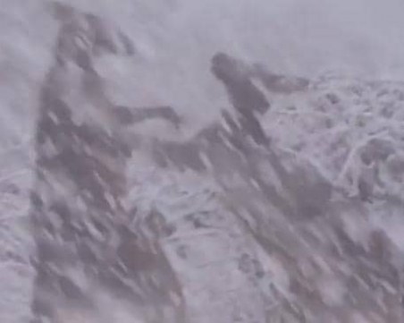 Невероятно: Сняг падна посред лято, две кенгура играят под снежинките