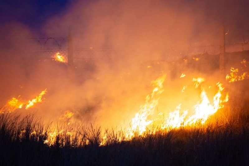 Нов голям пожар избухна в Свиленградско