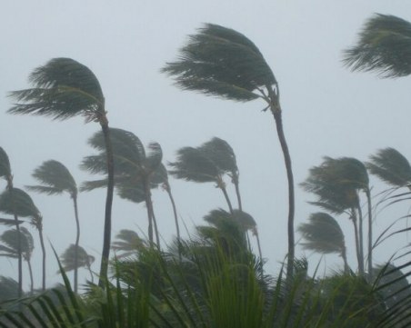 Извънредно положение в Тексас заради тропически бури