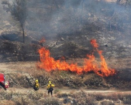 След цяла нощ гасене: Ограничиха големия горски пожар край Свиленград