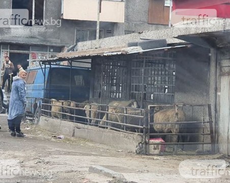 Мащабна акция в Столипиново, 12 жители отнесоха актове