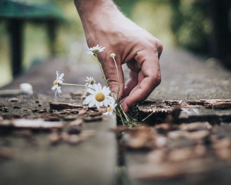 Родителска небрежност: Дете почина, майка й мислила, че се преструва