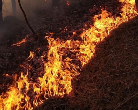Нов пожар избухна в Хасковско