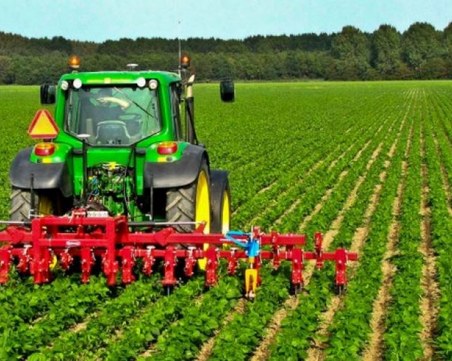 Подпомагат с 56,6 млн. лева земеделски стопанства заради кризата