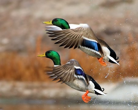 Време е за размисли с три руски загадки