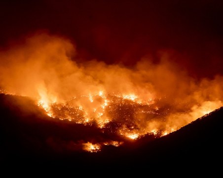 Огнена тревога в Пловдив! От пожарната с апел: Не палете огън, пазете природата и населените места