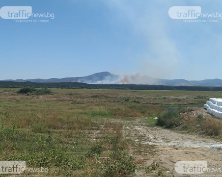 Потушени са пожарите в Пловдивско